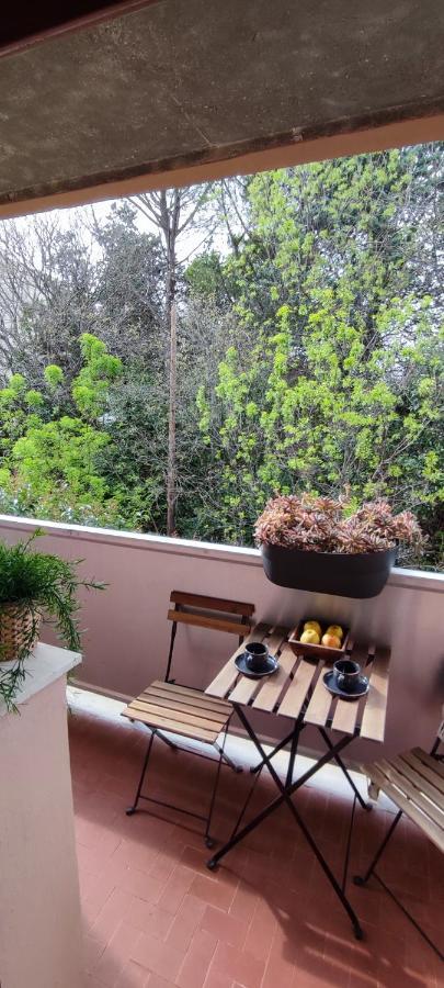 Michelet Studio Climatise Avec Balcon Et Parking Ferme Montpellier Dış mekan fotoğraf